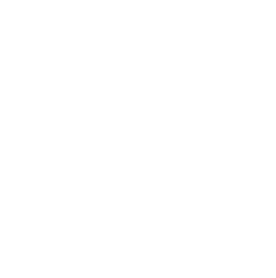 General Group